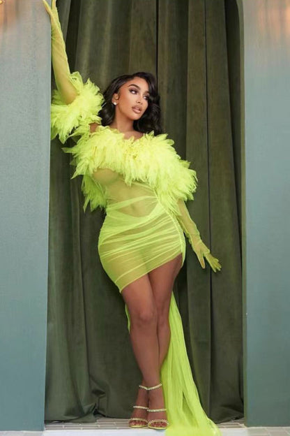 Off-Shoulder Feather Ruffle Ruched Mesh Glove Sleeve Train Mini Dress